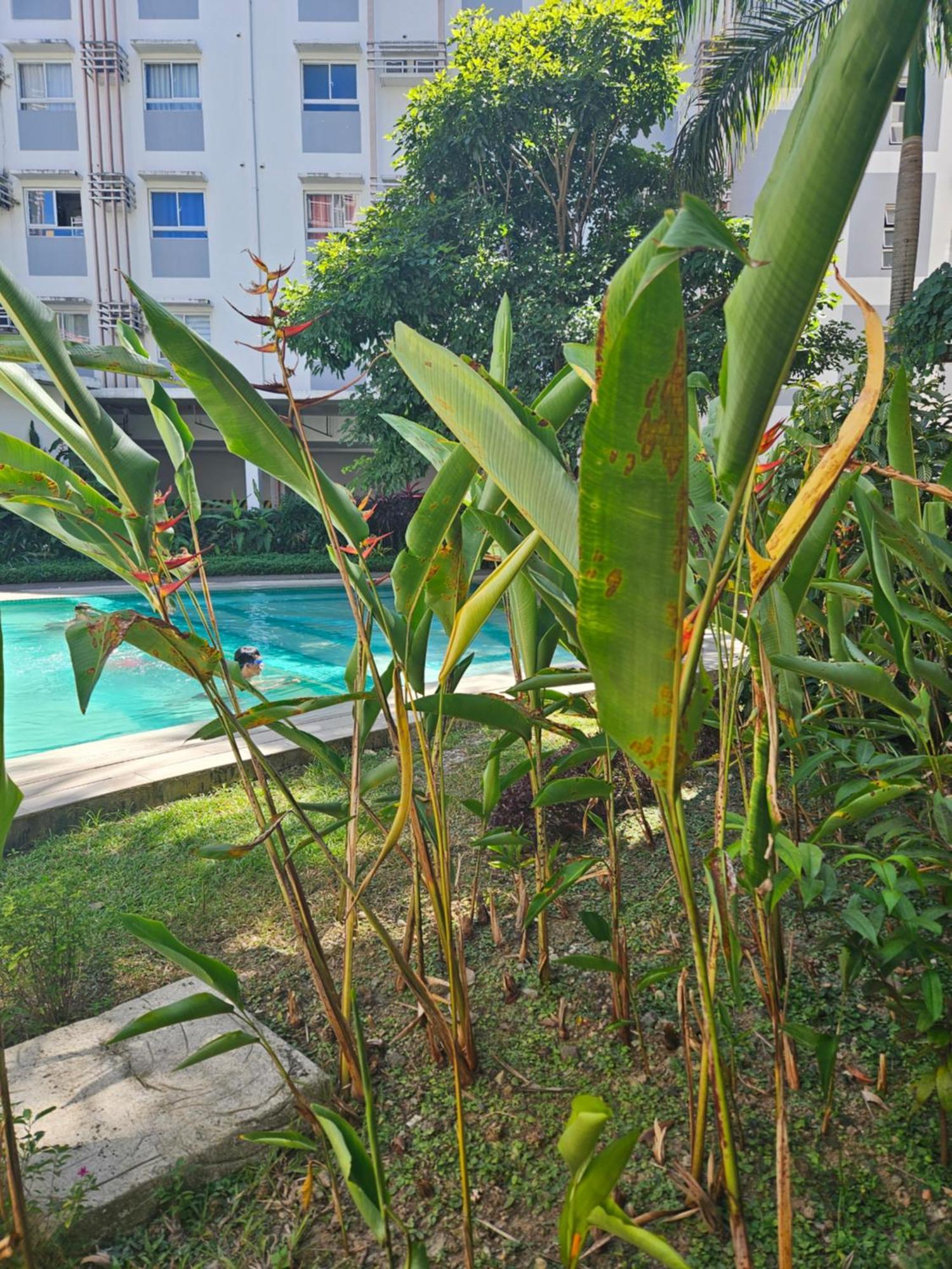 2-Bedroom Boutique City Condo - Newly Renovated! Cebu Luaran gambar