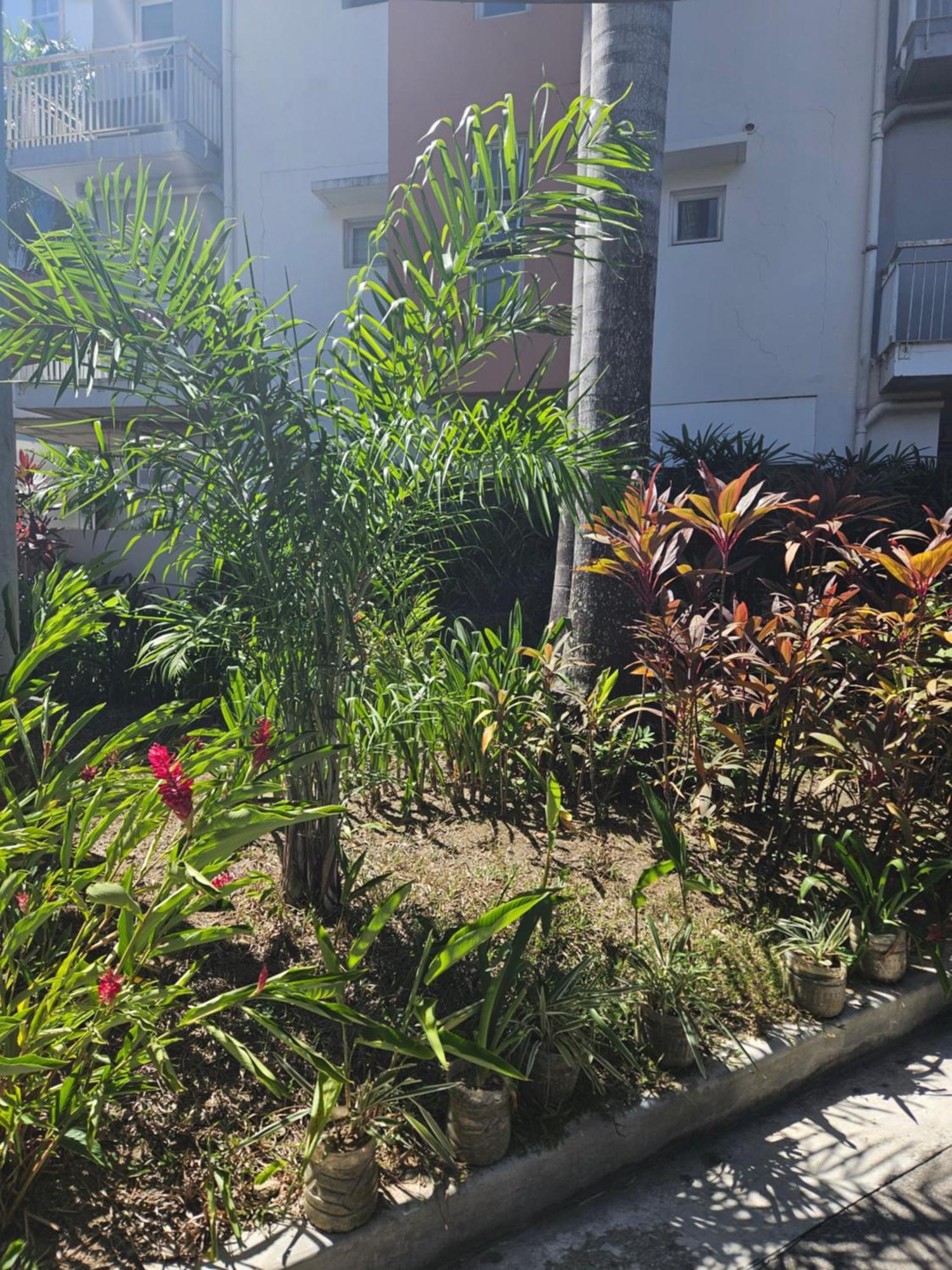 2-Bedroom Boutique City Condo - Newly Renovated! Cebu Luaran gambar